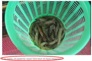 Или я е...банутый и старый... или старый е..банутый, или мир сошел с ума.