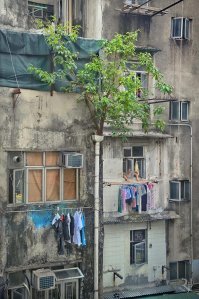 Да ладно, там и соседние (и даже не очень соседние) кварталы мало чем от описанногов посте отличаются.
Просто реально там места мало, а людей - много.

А так-то проблема Коулуна могла бы решиться мгновенно, если бы британская администрация допустила на его территорию законные власти КНР. Которые быстро бы навели там порядок.

Вот первые попавшиеся фотки из инета про совсем другие кварталы. В общем, та же фигня. ИМХО.