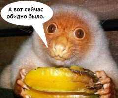 10 интересных животных, о которых мало кто знает