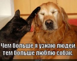 В зоопарке Владивостока детеныш леопарда подружился с овчаркой