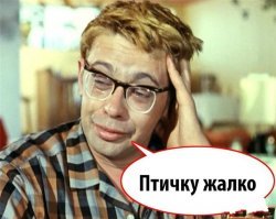 Выборная дичь: как коты голосовали, а человек-дерево избирательный участок "удобрял"