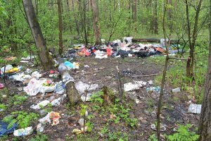 Ну да, поразили уж