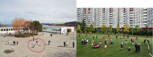 пздюк есть везде))))