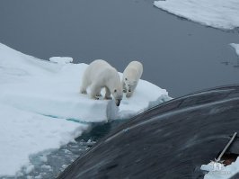 Из личного
С Праздником!!!