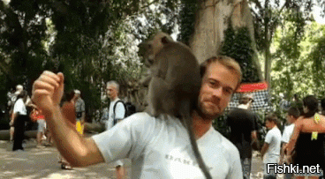Нахальная обезьянка напала на туристку в Таиланде