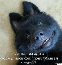 Вот лучше всяких комментариев из поста ранее. Ржал как дикий!!!