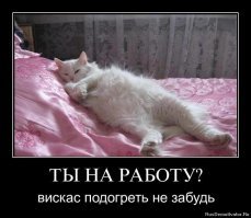 Картинки с надписями для настроения