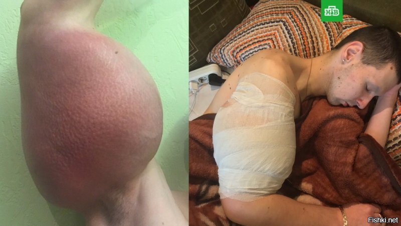 очередной искатель хайпа... прошлый уже сдулся ...