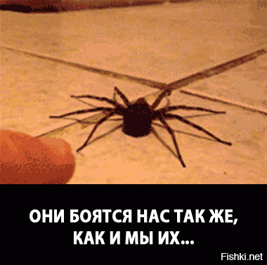 Гифки дня