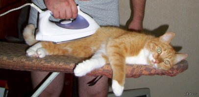 как скажешь...