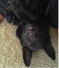 А переверуть слабо чтоль?