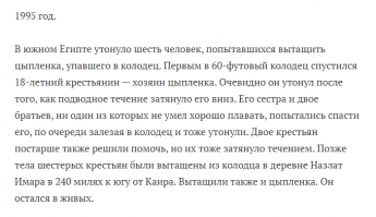 Рабочие рискнули жизнью, чтобы спасти бродячую собаку с крыши саркофага в Чернобыле