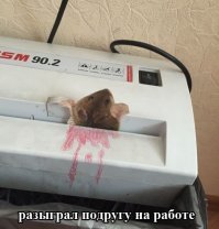Прикольные картинки