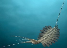 Предки гаишников...