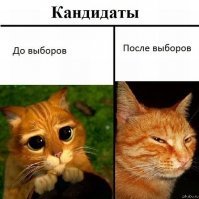 Даже в таком ничтожном споре он оказался П.И.З.Д.О.Б.О.Л.О.М!!! В прочем как и остальные кандидаты..