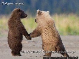 Обнимашки братьев наших меньших