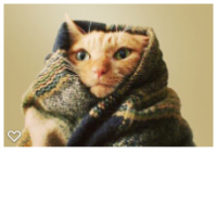 держаться больше нету сил