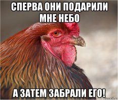 Курица в небесах. Мечты сбываются!