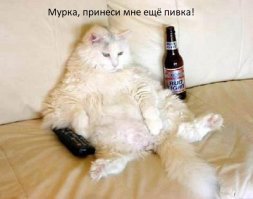 видно, что недавно вместе. А через какое-то время...