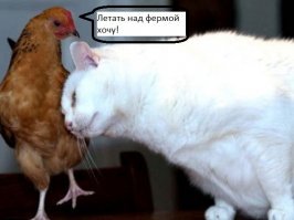 там не всё так просто, сначала она рассказала коту