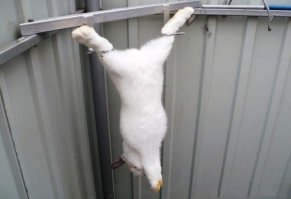 Не правильно. Вот как нужно: