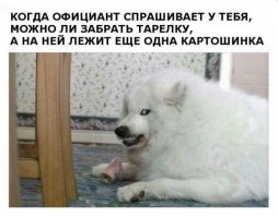 Картинки с надписями для настроения