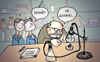 Средняя школа полностью ориентирована на девочек