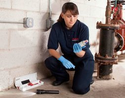 А мышей потом подбрасывают соседям...