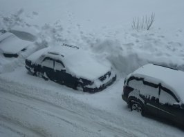 А ночью снова выпал снег...