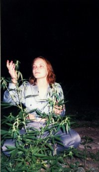 Вроде в наличии и ладно))))