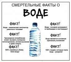 Смертельные дозы привычных веществ для человека