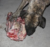 Хотите в гости со злым умыслом?:) За дверью вас будут ждать ещё два замка :) вот таких :) Это замок и сигнализация в одном флаконе :) А роль сирены будет выполнять злоумышленник :)