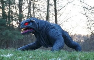 Фотоподборка за 21.03.2018