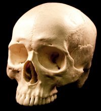 Большинство актеров с заглавного фотоколлажа сейчас выглядят так: