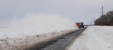 Курская область. Сегодня по пути на работу.