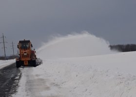 Курская область. Сегодня по пути на работу.