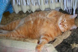 Он только прочитал - сразу стало плохо!