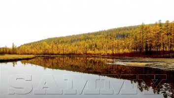 Река Гилюй, Амурская обл., осень 2017г, не SONY, OLYMPUS E500