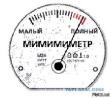 25 снимков самых очаровательных щенков в мире