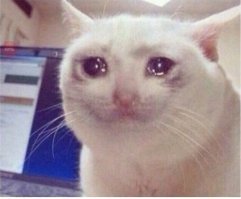 Нам нужна ваша помощь, чтобы оценить полезность этих талантов