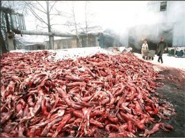 поддерживаю