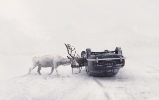 Олень оленю говорит...