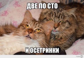 Утро добрым не бывает!