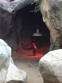 Где-то рядом , должны быть такие: