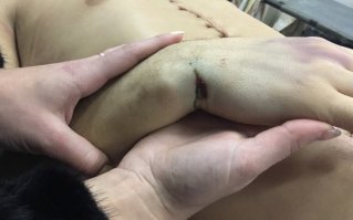 Смотрю я на это фото и что-то одолевают меня сильные сомнения в достоверности этой истории. Может найдется на фишках опытный патологоанатом, хотелось бы узнать его мнение о том, как могли быть получены эти травмы. В любом случае, если вы в 2 часа ночи втроём ездите чистить костюм для дайвинга, значит без какой-нибудь дури тут дело не обошлось.