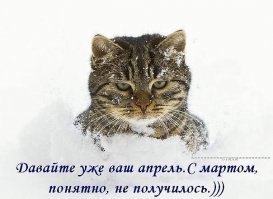 Клин - клином вышибают! Ударим баяном по баяну!