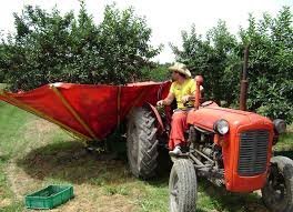 Вот тебе фотка навесного оборудования для сбора вишни. Не благодари.