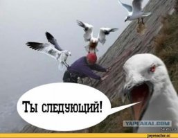 Фотоподборка за 22.03.2018