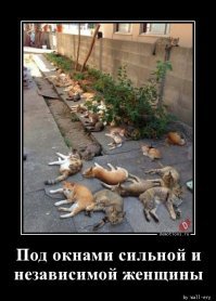 Внеочередной пост о сильных и независимых