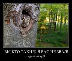 на днях звонили из почта банка, говорили кредит одобрен. а я им...